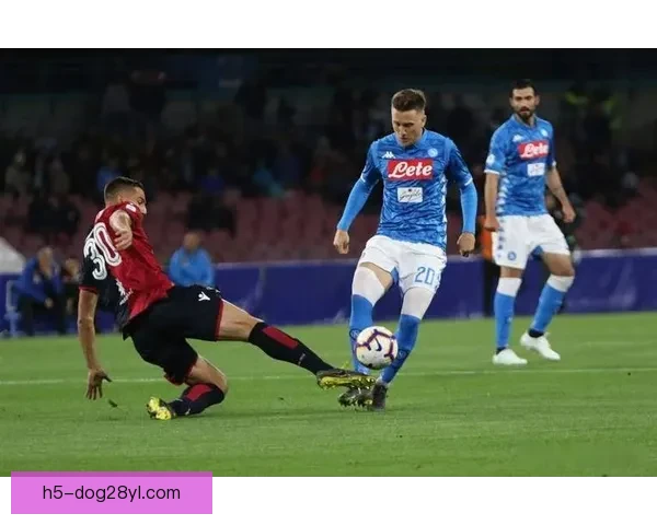 泥泞如战场狼队足总杯争议再起